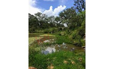 CABAÑA CAMPESTRE EN VENTA / AMEALCO / QUERETARO