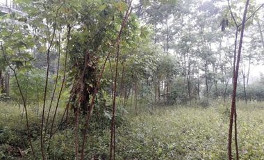 3638 M2 Tanah di Mekarsari, Ngamprah, Samping Kantor PemKab Bandung Barat