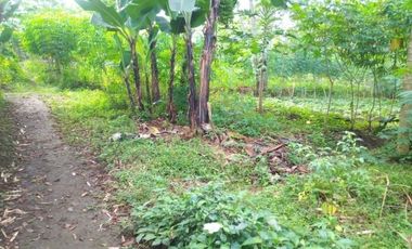 3638 M2 Tanah di Mekarsari, Ngamprah, Samping Kantor PemKab Bandung Barat