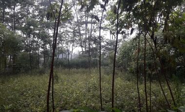3638 M2 Tanah di Mekarsari, Ngamprah, Samping Kantor PemKab Bandung Barat
