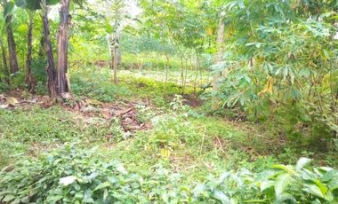 3638 M2 Tanah di Mekarsari, Ngamprah, Samping Kantor PemKab Bandung Barat