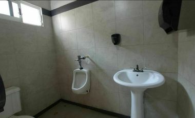 Renta de oficinas en Col. Pallas