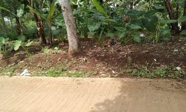 Tanah murah 2500m lahan datar Cilame Bandung barat