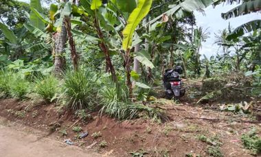 Tanah murah 2500m lahan datar Cilame Bandung barat