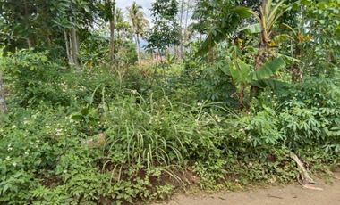 Tanah murah 2500m lahan datar Cilame Bandung barat