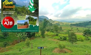 Tanah Kebun Yg Luas dgn Pemandangan yang Amazing