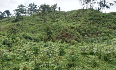 Dijual Tanah Perumahan 7 Ha Di Cipatat Kota Bandung Barat