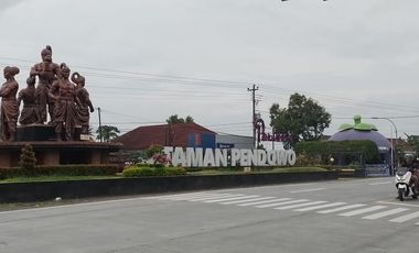 Tanah Dijual Ketangi Fasum Jalan Row 5 Meter Jalan Nasional