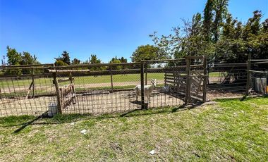 3 Casas en Terreno de 13.840 m2 en venta, Pirque