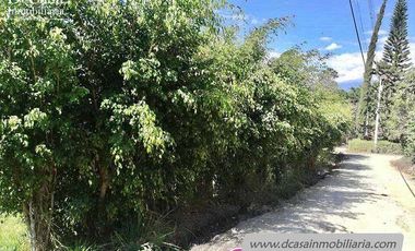 Terreno de Venta – Yunguilla – Guanábana – 1500m2* (50* frente x 30m2* fondo) (T-163)