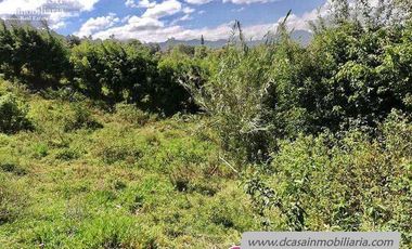 Terreno de Venta – Yunguilla – Guanábana – 1500m2* (50* frente x 30m2* fondo) (T-163)