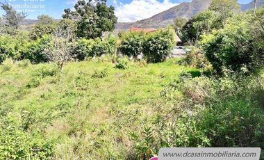 Terreno de Venta – Yunguilla – Guanábana – 1500m2* (50* frente x 30m2* fondo) (T-163)