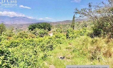 Terreno de Venta – Yunguilla – Guanábana – 1500m2* (50* frente x 30m2* fondo) (T-163)