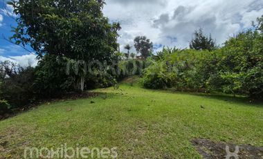 finca en venta en centro guarne. Cod V70242
