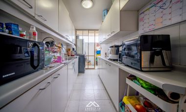 Martin de Zamora / Disponible