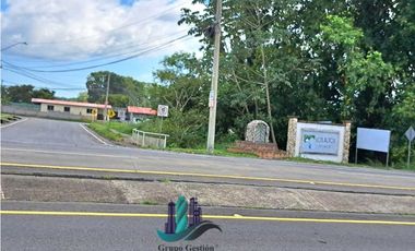 VENDO CASA DE 3HAB CON ARBOLES FRUTALES