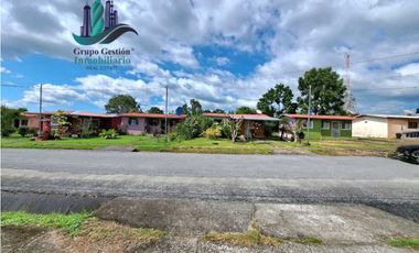 VENDO CASA DE 3HAB CON ARBOLES FRUTALES