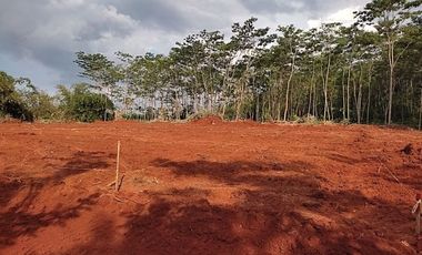 Tanah Dekat Jalan Karanganyar-Doro Pekalongan, SHM, Cicil 12x