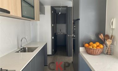 TownHouse con JARDIN PRIVADO 4 D en San Carlos de Apoquindo