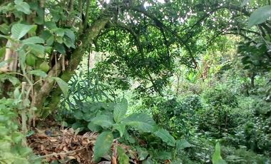 lote en venta en maraya. Cod V2839