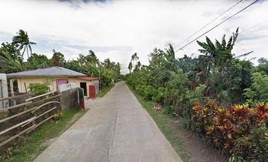 8,232 sqm Farm Lot for Sale with Small House and Fruit Bearing Trees in Mataas na kahoy, Batangas