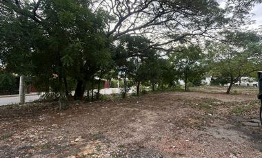 lote en venta en bocono. Cod V3350