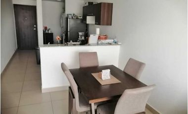 ALQUILER APARTAMENTO AMOBLADO 2 RECAMARAS EL BOSQUE