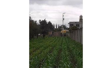 SE RENTA TERRENO EN GUARDIAS XICOTZINGO TLAXCALA
