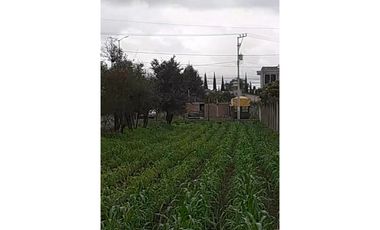 SE RENTA TERRENO EN GUARDIAS XICOTZINGO TLAXCALA