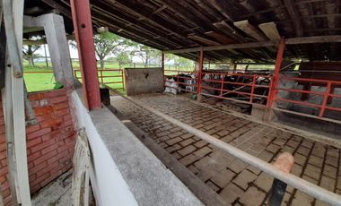 VENTA de FINCAS en PEREIRA