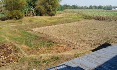 Dijual Pabrik Nol Jalan Raya Kec Kemlagi Mojokerto Surabaya