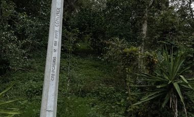 Venta terrenos en Banderilla, Ver.