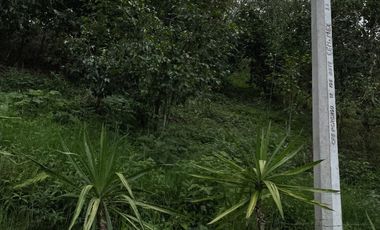 Venta terrenos en Banderilla, Ver.