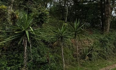 Venta terrenos en Banderilla, Ver.