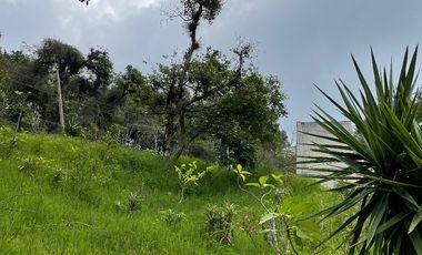 Venta terrenos en Banderilla, Ver.