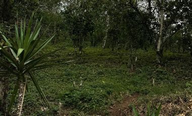 Venta terrenos en Banderilla, Ver.