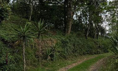 Venta terrenos en Banderilla, Ver.