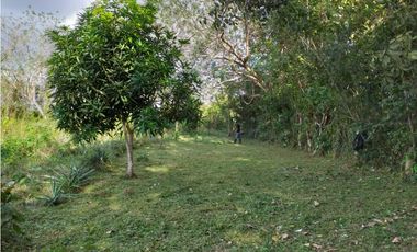 VENDO TERRENO EN LA CHORRERA 8000mts2