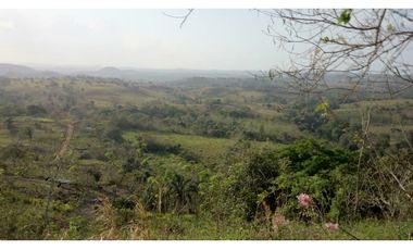 VENDO TERRENO EN LA CHORRERA 8000mts2