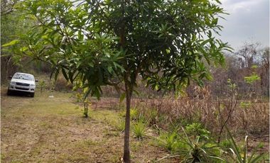 VENDO TERRENO EN LA CHORRERA 8000mts2