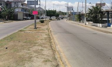 Renta Terreno Comercial