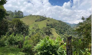 Amplia Finca Para La Venta, La Vega - San Francisco De Sales