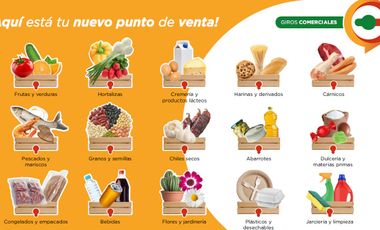 Bodegas en VENTA en Colima