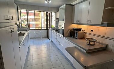 Arriendo Penthouse 4 D 3 B 1 E 1 B Las Nieves, Vitacura