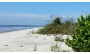 Se venta terreno en primera línea de playa en Punta Chame.