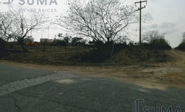 Terreno en Venta en Ejido Ricardo Flores Magón,  Altamira Tamaulipas