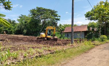 Dekat Pasar Sentolo Jogja: Pekarangan Mumpung Murah