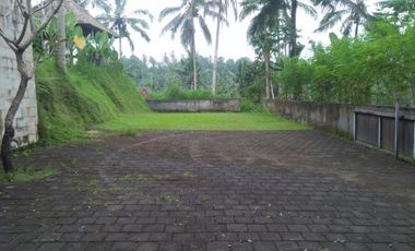 PRIVATE VILLA DENGAN VIEW MENAWAN DI AREA UBUD BALI
