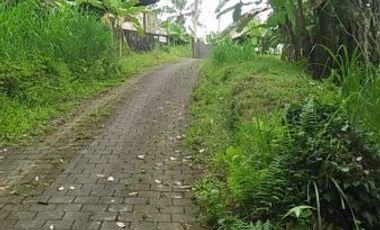 PRIVATE VILLA DENGAN VIEW MENAWAN DI AREA UBUD BALI