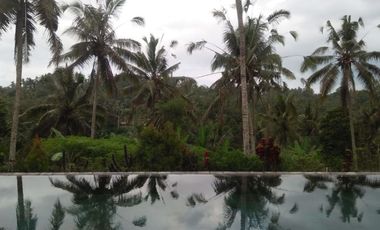 PRIVATE VILLA DENGAN VIEW MENAWAN DI AREA UBUD BALI